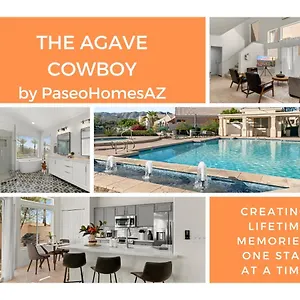 The Agave Cowboy United States