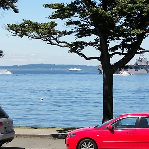 Alki Magpie United States
